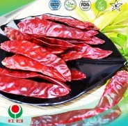Spice Up Your Life with Paprika &#038; Chili!