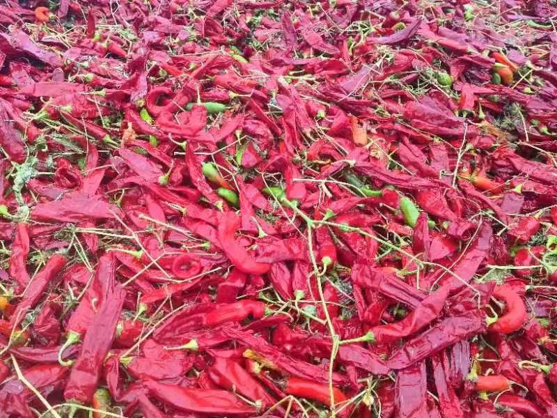 hot smoked paprika