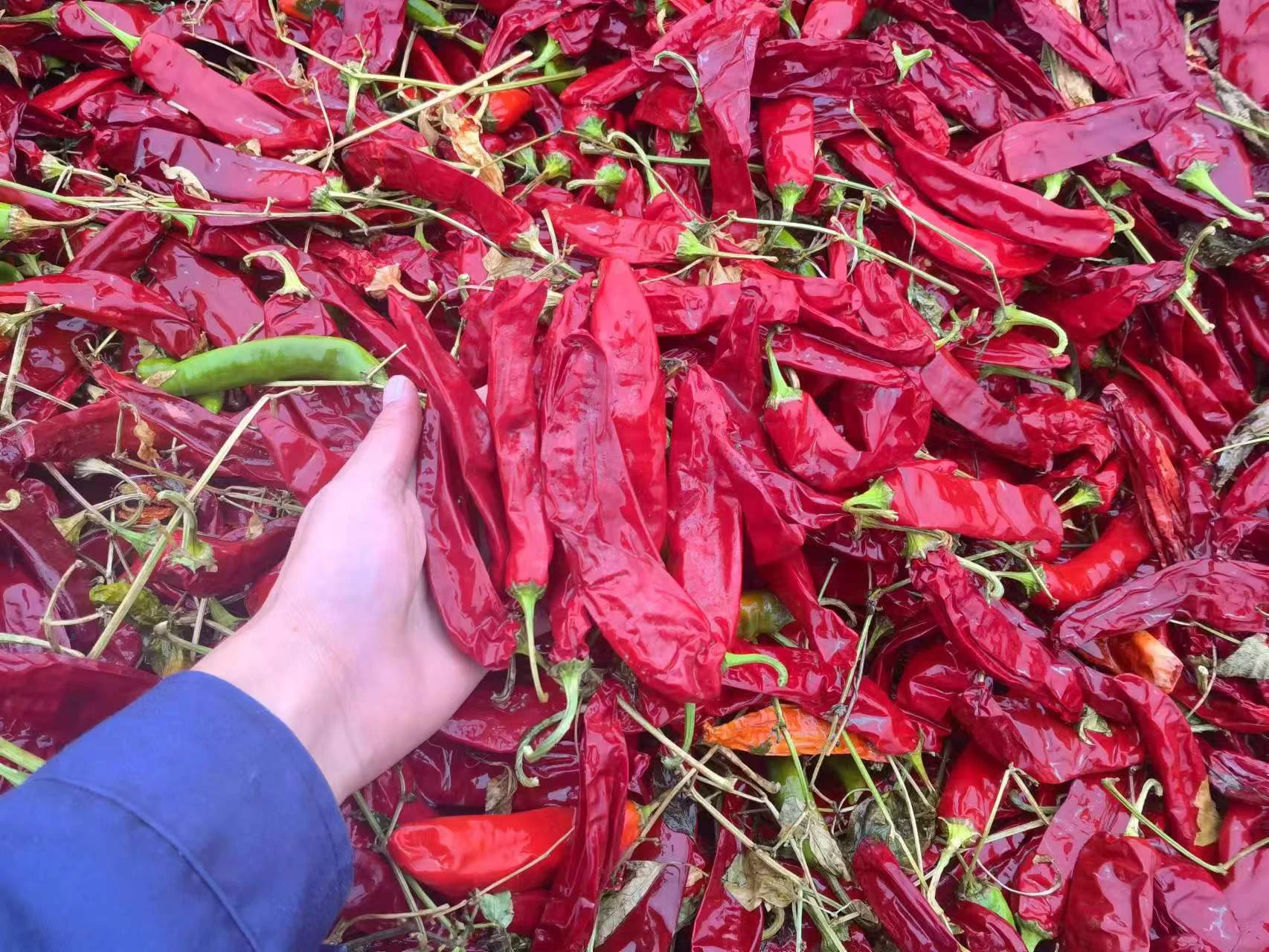 crushed red pepper seasoning