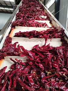 paprika pepper