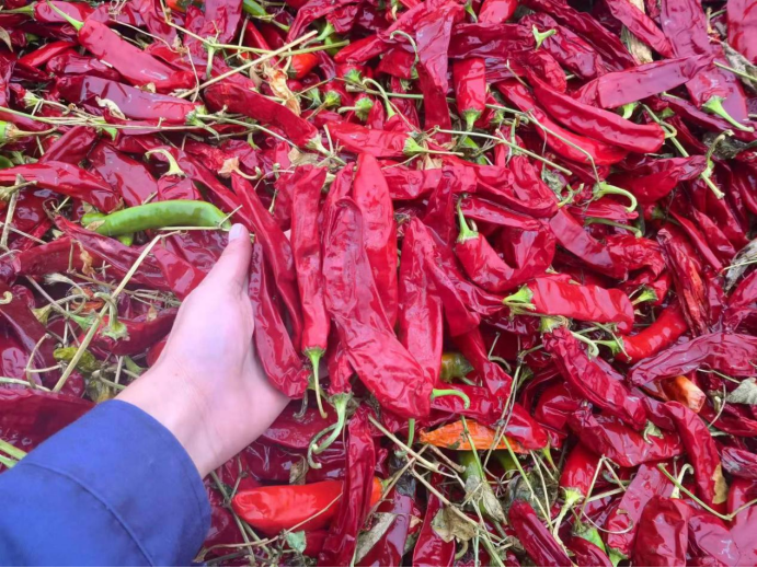 crushed red pepper powder