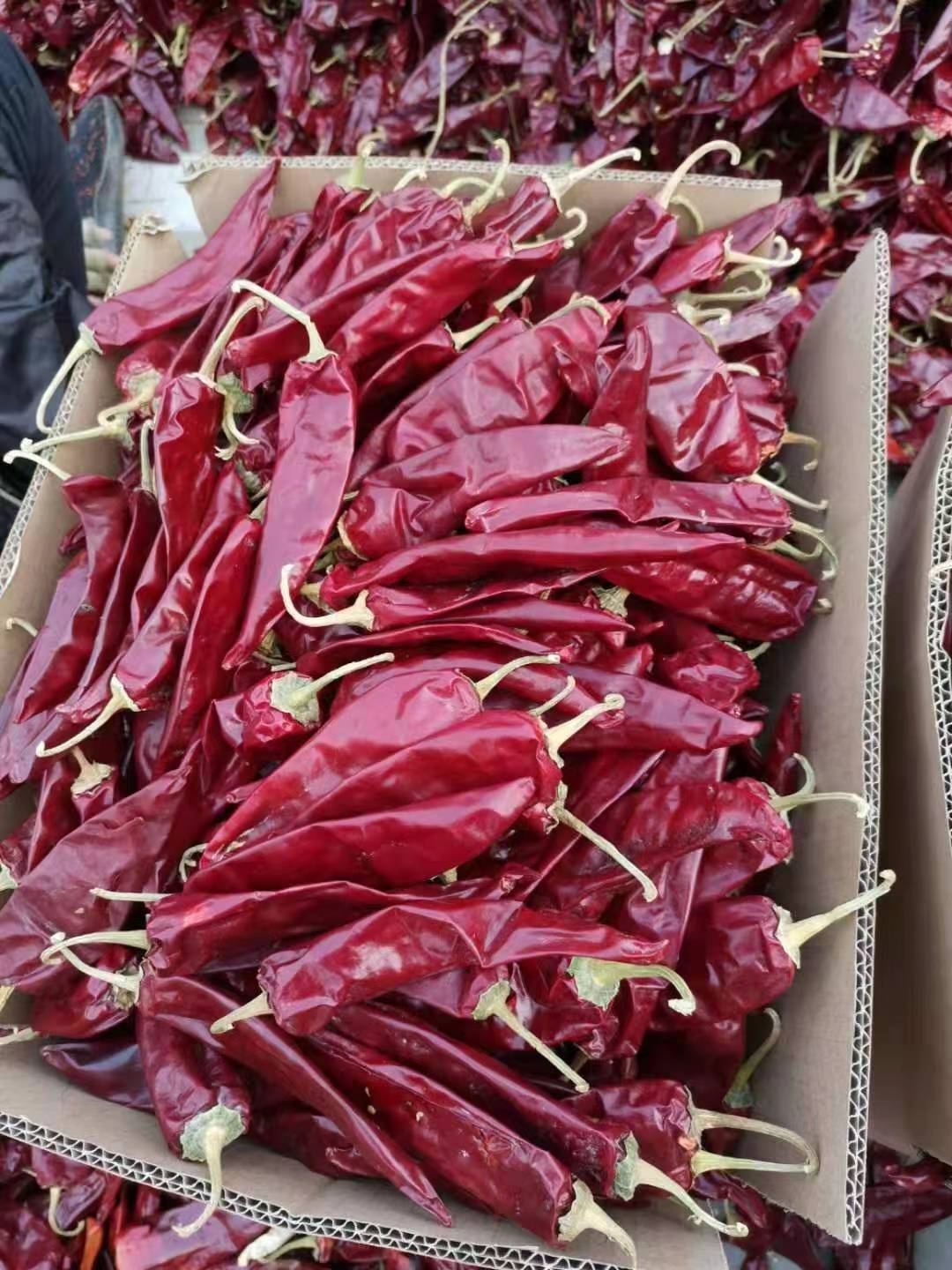 smoked paprika and paprika