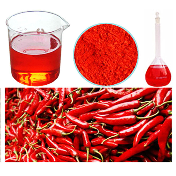 paprika bulk buy